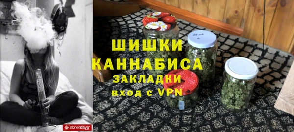 шишки Алзамай