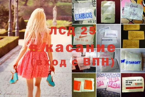 стафф Алексин