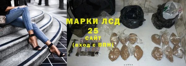 шишки Алзамай